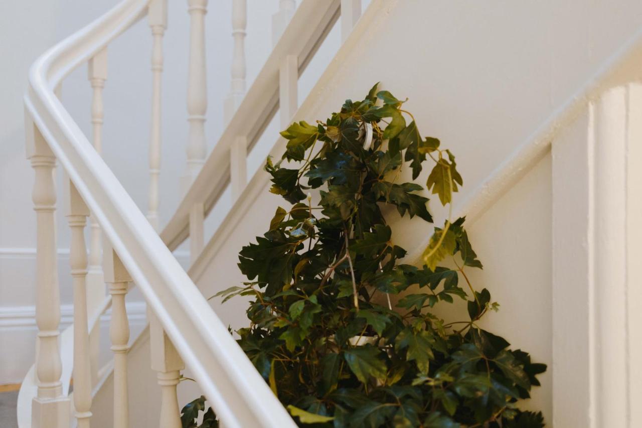 Aduquesa - Guesthouse Porto Zewnętrze zdjęcie